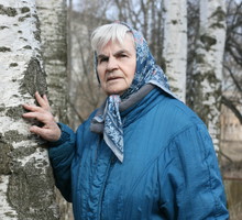 Brzoza ma magiczne właściwości. Chroni przed złymi mocami i ma wpływ na dzieci