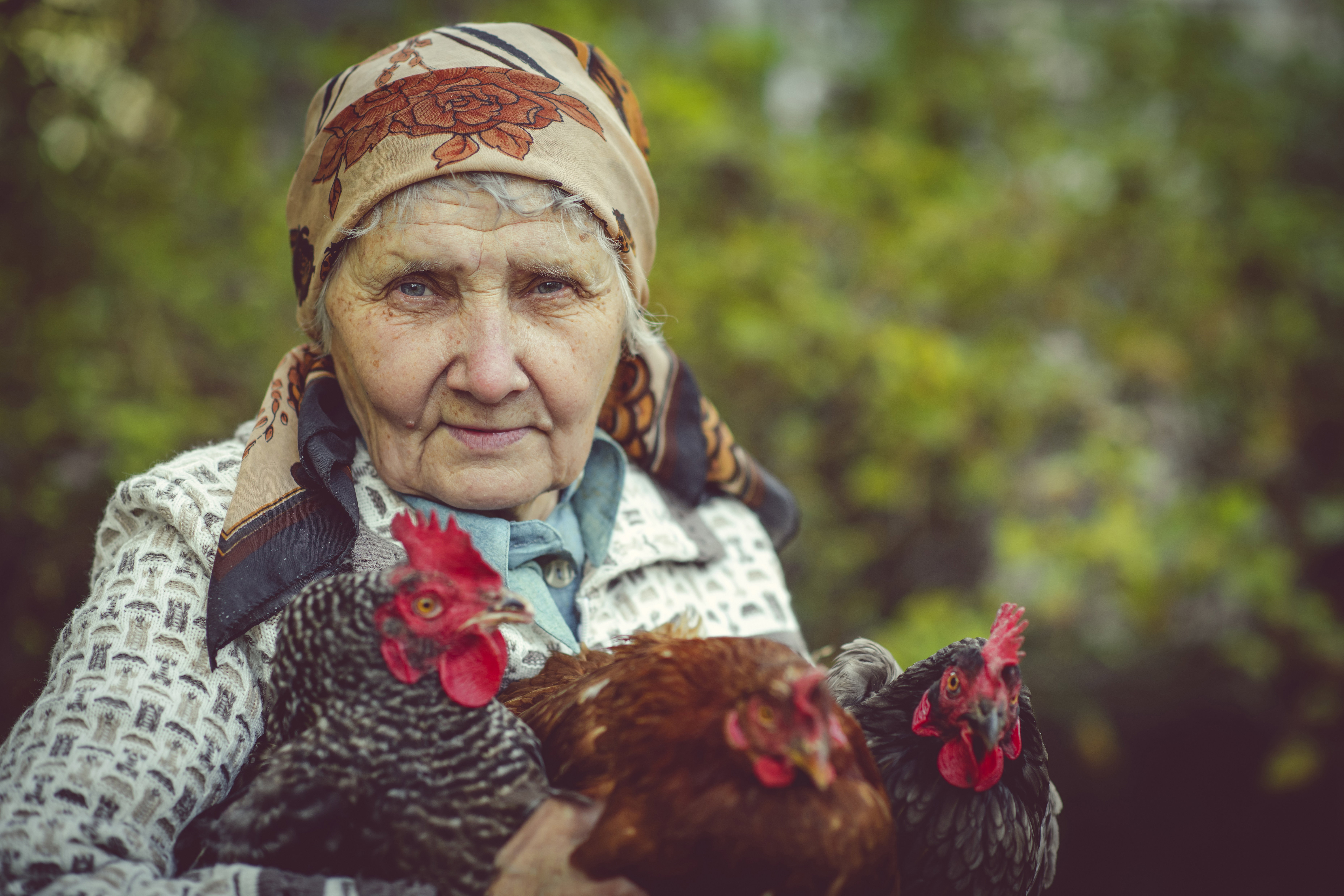 Horoskop cygański 2023