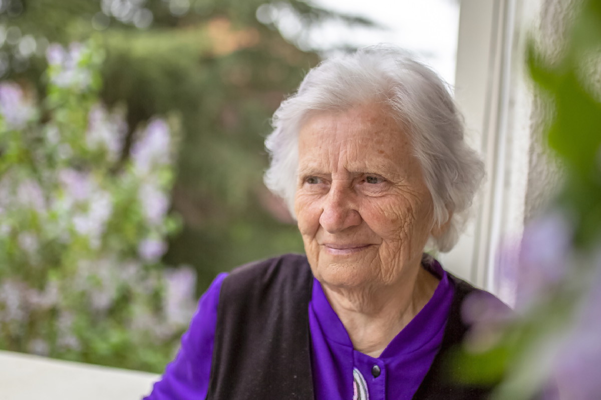 To drzewo czarownic. Może przynieść bogactwo, ale też pecha