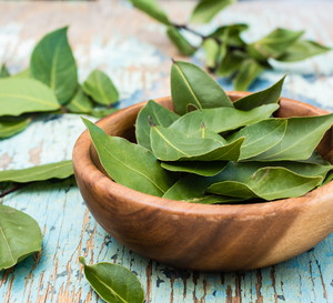Wystarczy 30 minut, a efekt cię zaskocz. Połóż na kaloryferze liść laurowy i pożegnaj się z pechem