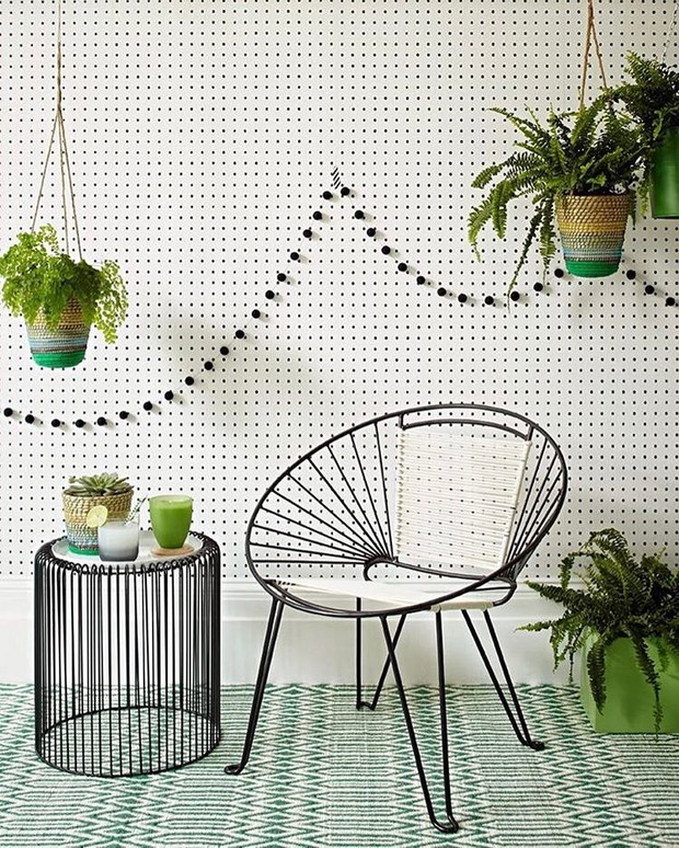 Moringa nowy eko trend