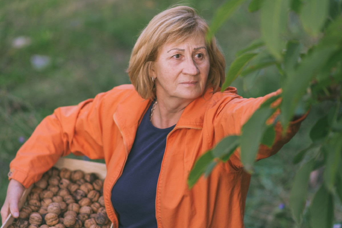 To drzewo czarnoksiężników. Jego pękające owoce chronią przed złem, ale też mogą je przyciągać