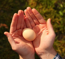 Karnawałowa wróżba odkryje, co czeka cię w 2023 roku. Potrzebujesz tylko jajka i wody