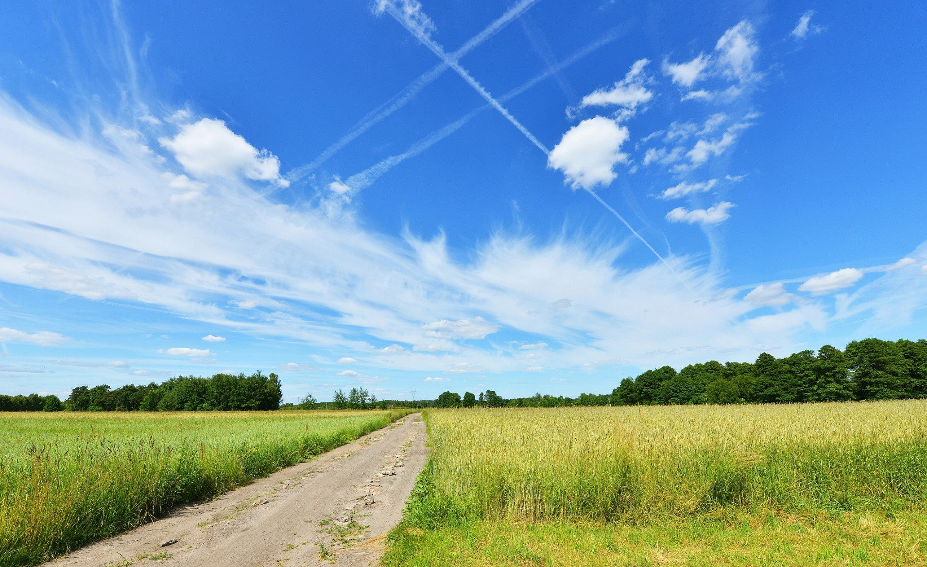 Ten znak na niebie wróży miłą niespodziankę.
