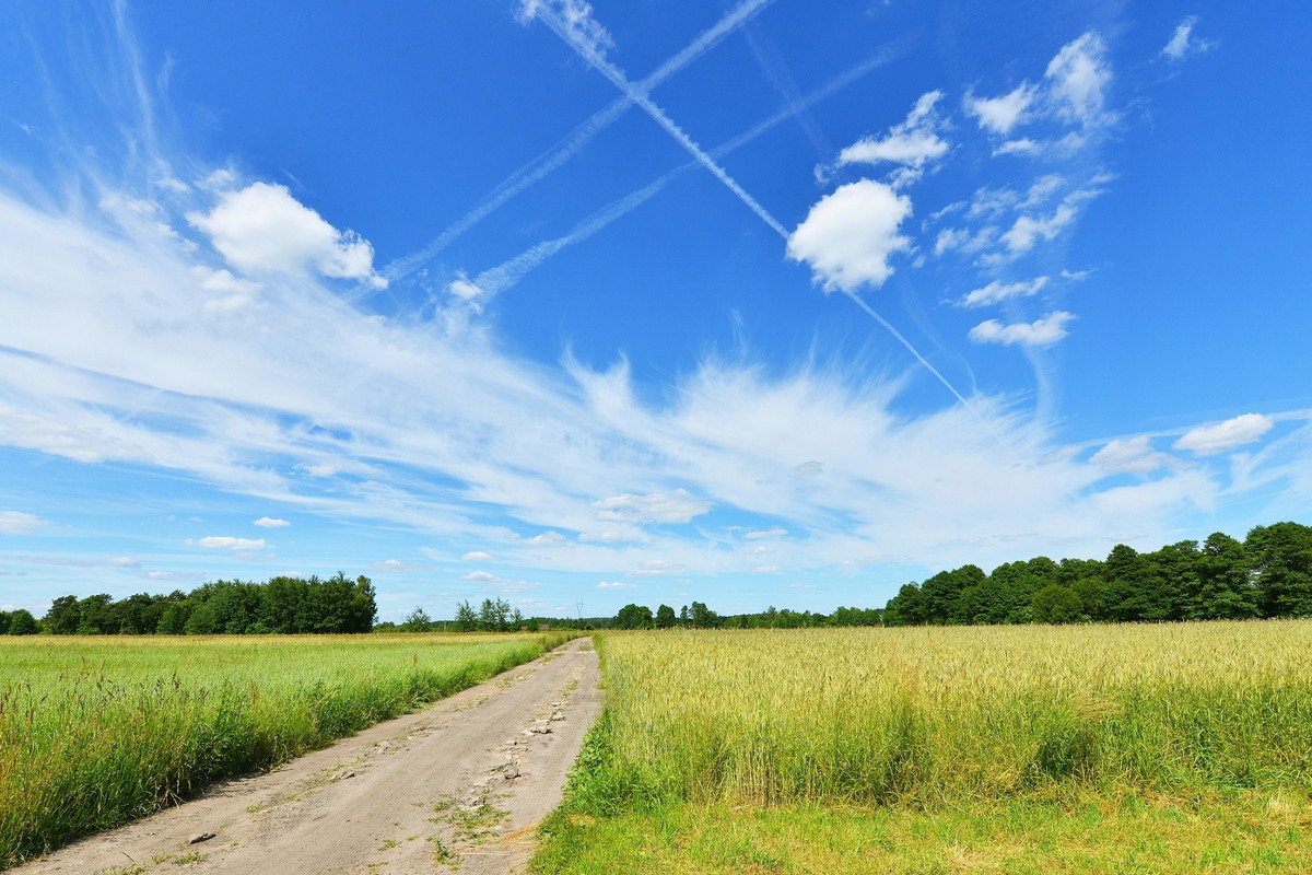 Ten znak na niebie wróży miłą niespodziankę.