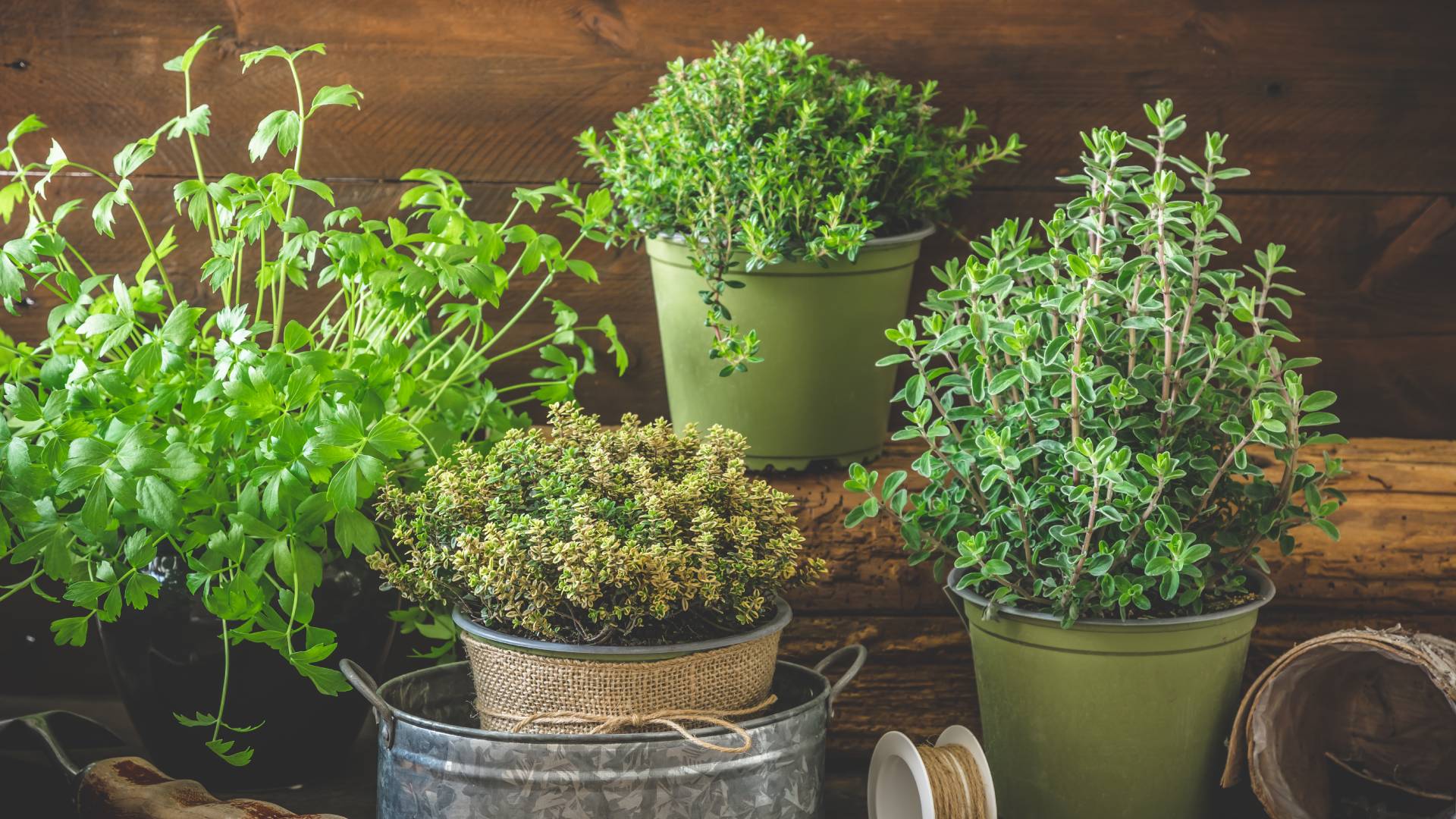 Wystarczy 1 szczypta, a jego serce zapuka w rytmie cza cza. Koniecznie dodaj ją do zupy