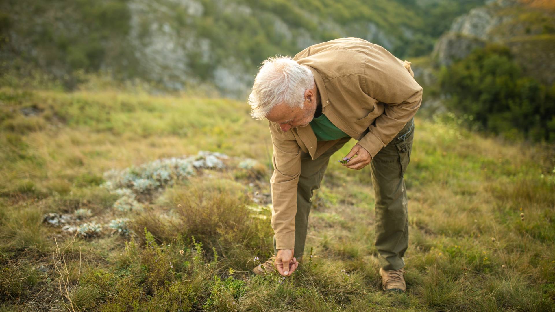 Pod żadnym pozorem nie podnoś tego z ziemi. Jeśli to zrobisz, ściągniesz na siebie pecha