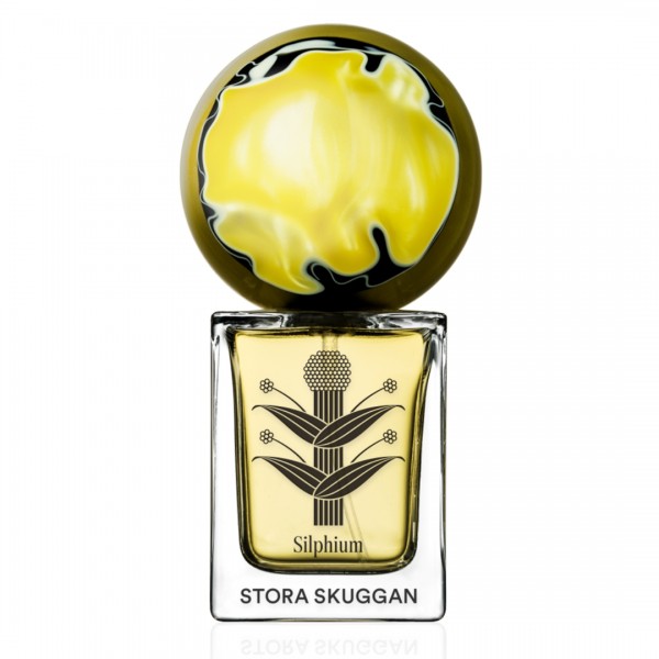 STORA SKUGGAN; Silphium