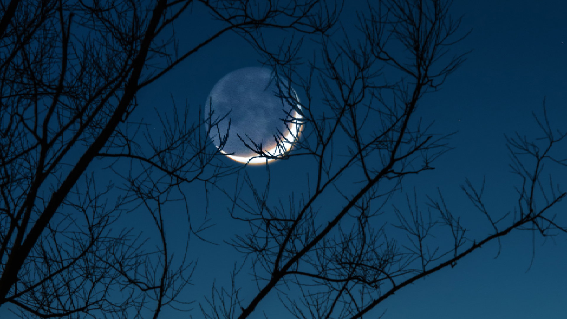 Horoskop na nów Księżyca w Wodniku 21 stycznia 2023