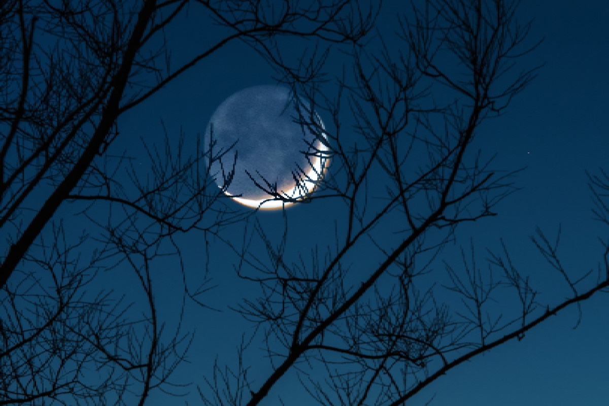 Horoskop na nów Księżyca w Wodniku 21 stycznia 2023