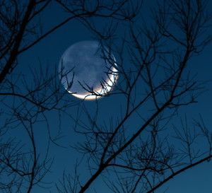 Horoskop na nów Księżyca w Wodniku 21 stycznia 2023