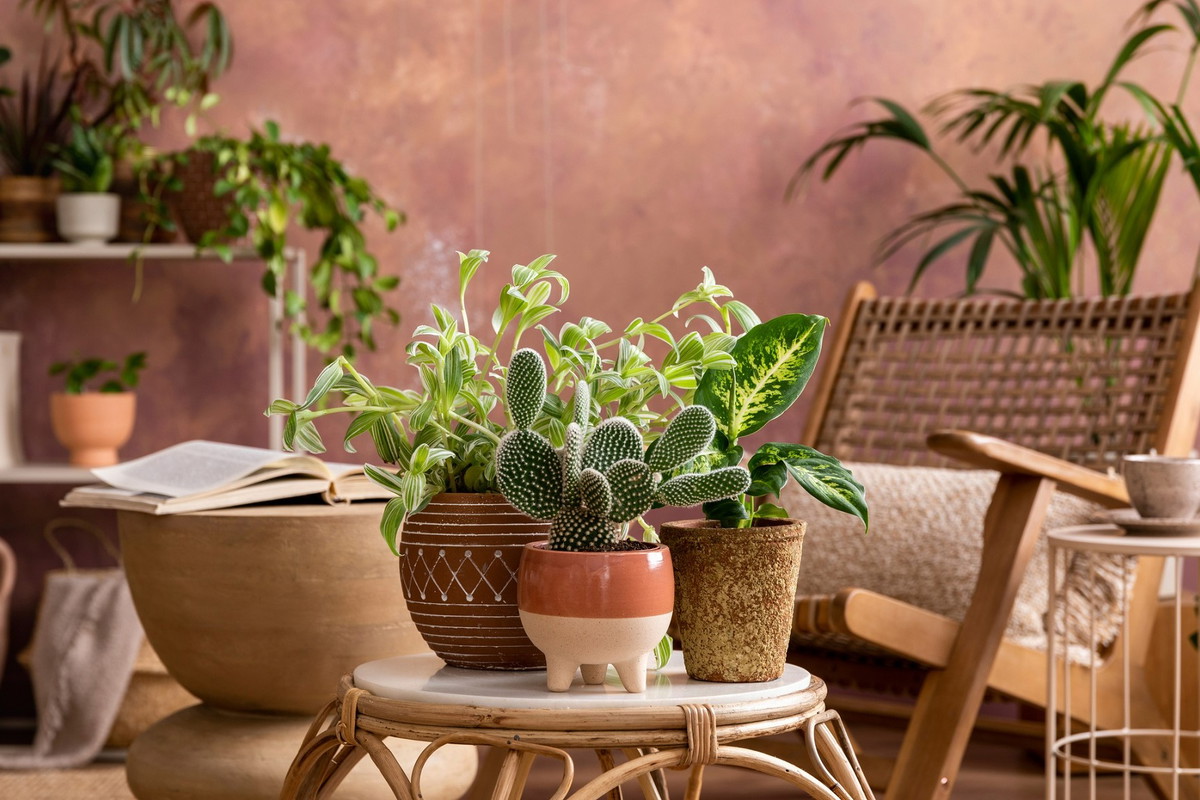 Ta 1 rzecz w domu przynosi pecha i nieszczęścia. Lepiej szybko się jej pozbądź