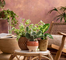 Ta 1 rzecz w domu przynosi pecha i nieszczęścia. Lepiej szybko się jej pozbądź