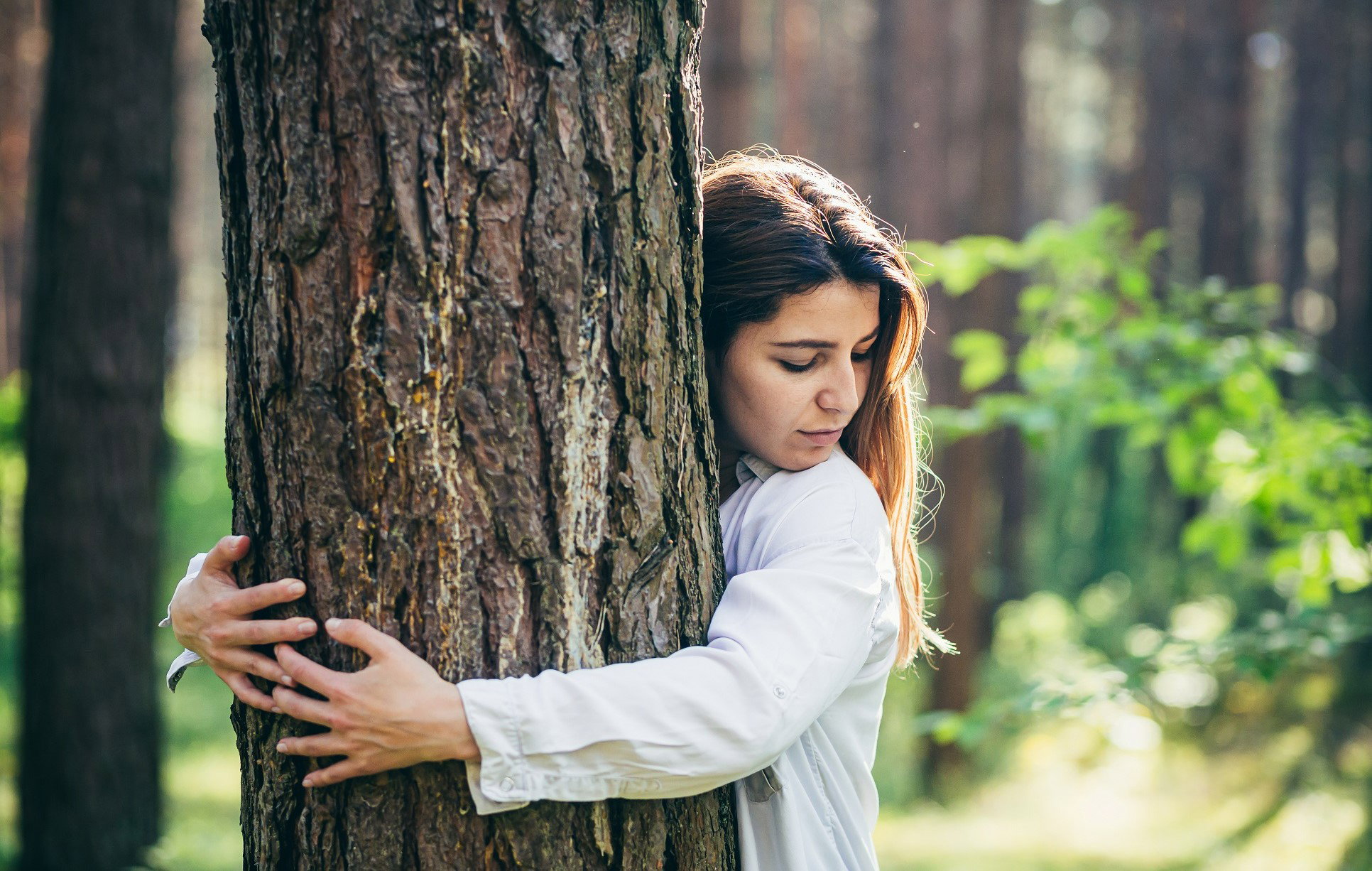 Horoskop celtycki wskaże prawdę o tobie. Odkryj, jakie drzewo ci patronuje