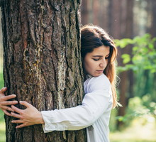 Horoskop celtycki wskaże prawdę o tobie. Odkryj, jakie drzewo ci patronuje