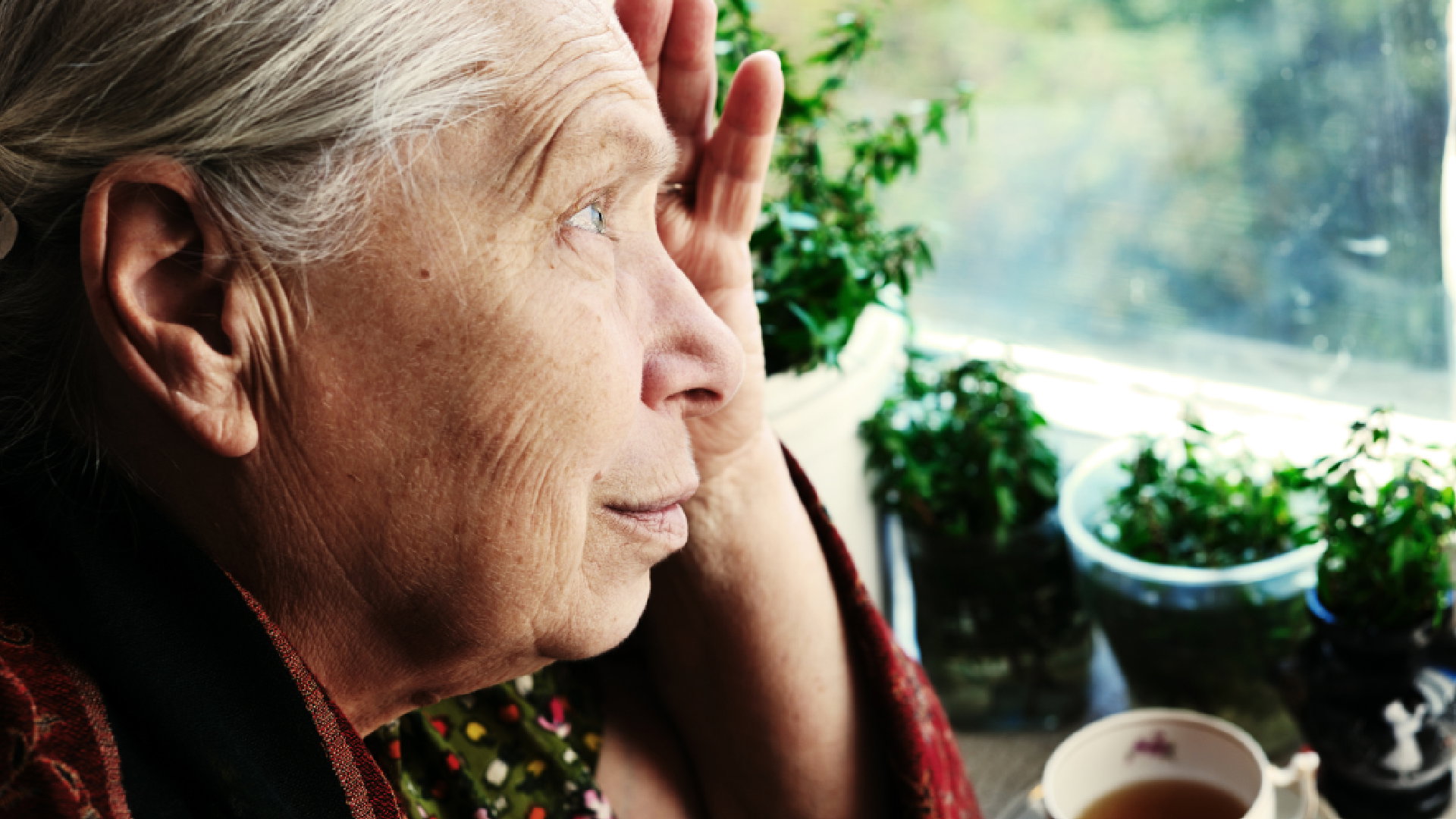 Drzewo na miłość, namiętność i szczęście. Zobacz, za co jeszcze odpowiada