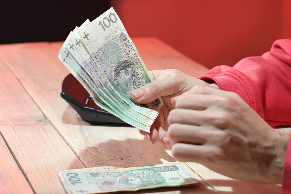 Zrób to, a stały dopływ gotówki masz gwarantowany. Potrzebujesz tylko 7 nasion