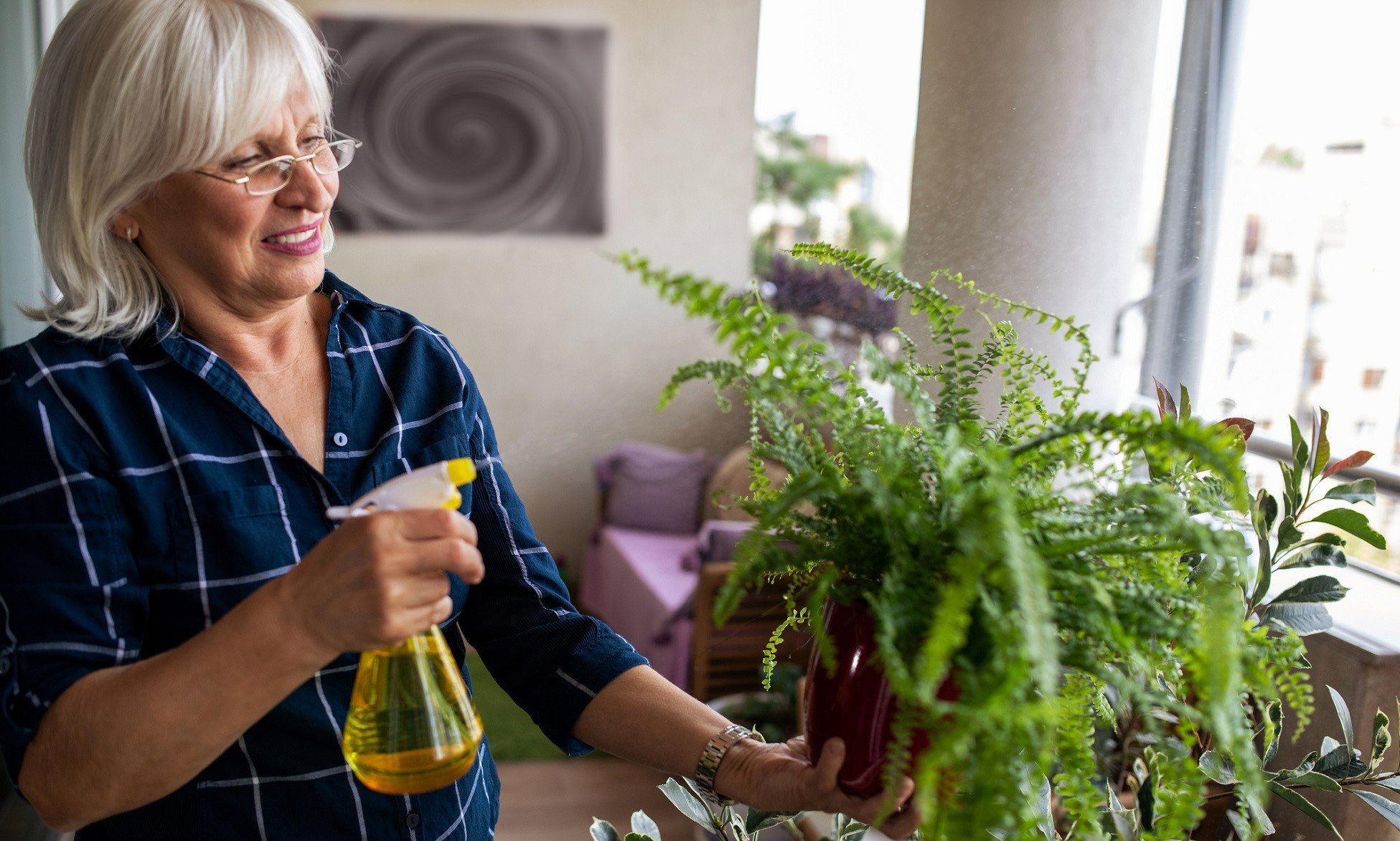 Ta roślina w domu pomaga pomnażać pieniądze