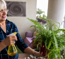 Ta roślina w domu pomaga pomnażać pieniądze