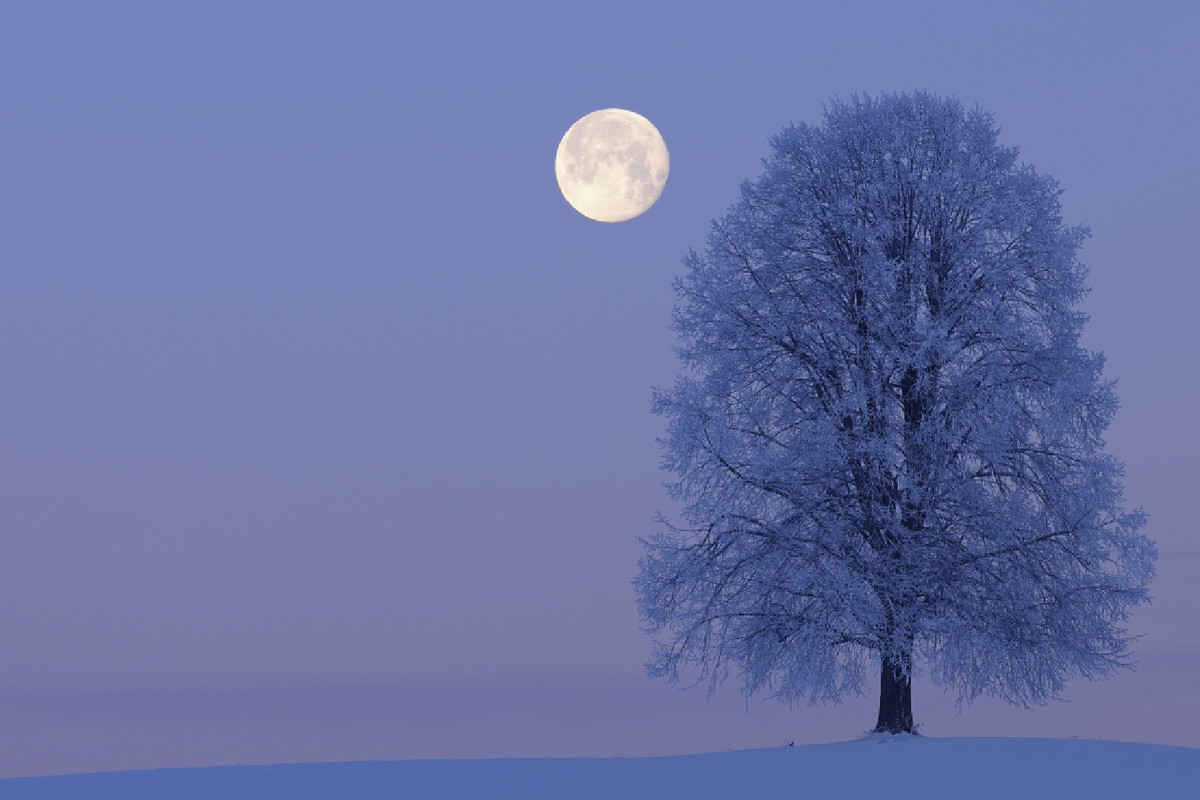 Horoskop na pełnię Księżyca w Lwie w lutym 2023