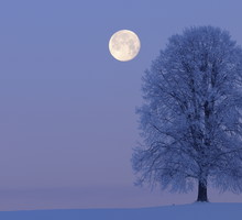 Horoskop na pełnię Księżyca w Lwie w lutym 2023