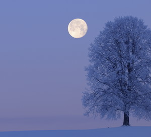 Horoskop na pełnię Księżyca w Lwie w lutym 2023