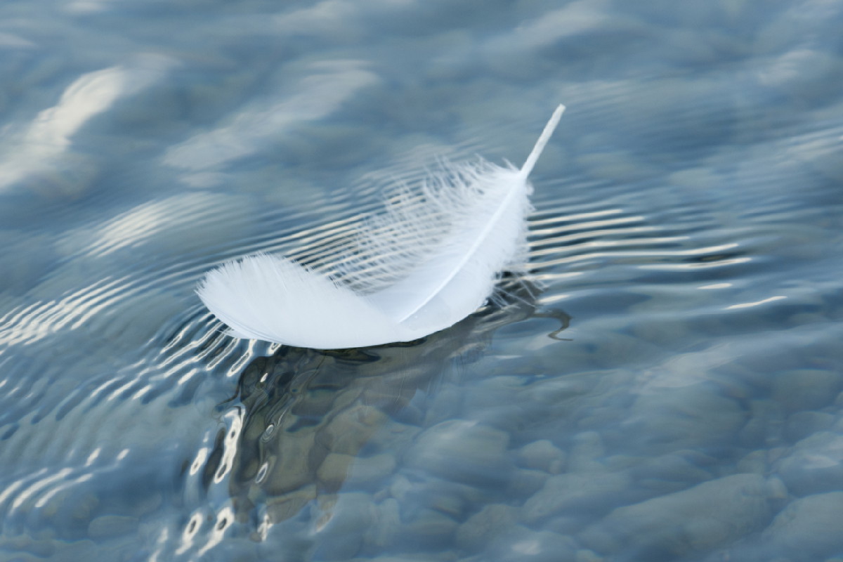 Angelologia: anielska metoda na przyciągnięcie pieniędzy. Potrzebujesz tylko soli i wody