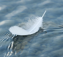 Angelologia: anielska metoda na przyciągnięcie pieniędzy. Potrzebujesz tylko soli i wody