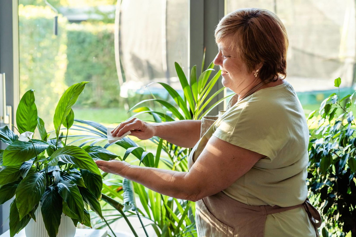 Zrób to, a twoje kwiaty będą rosły jak szalone. Babcine zaklęcie na wzrost roślin działa cuda