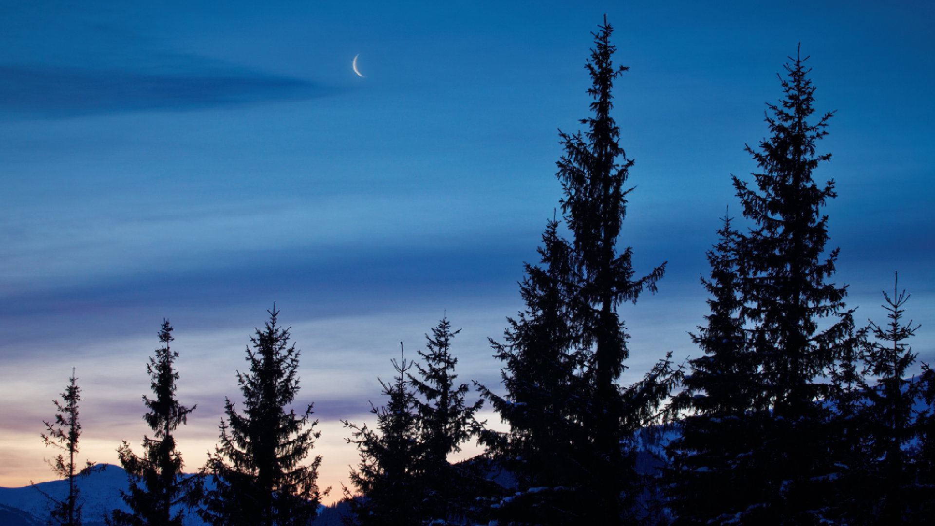 Horoskop na nów Księżyca w Rybach 20 lutego 2023