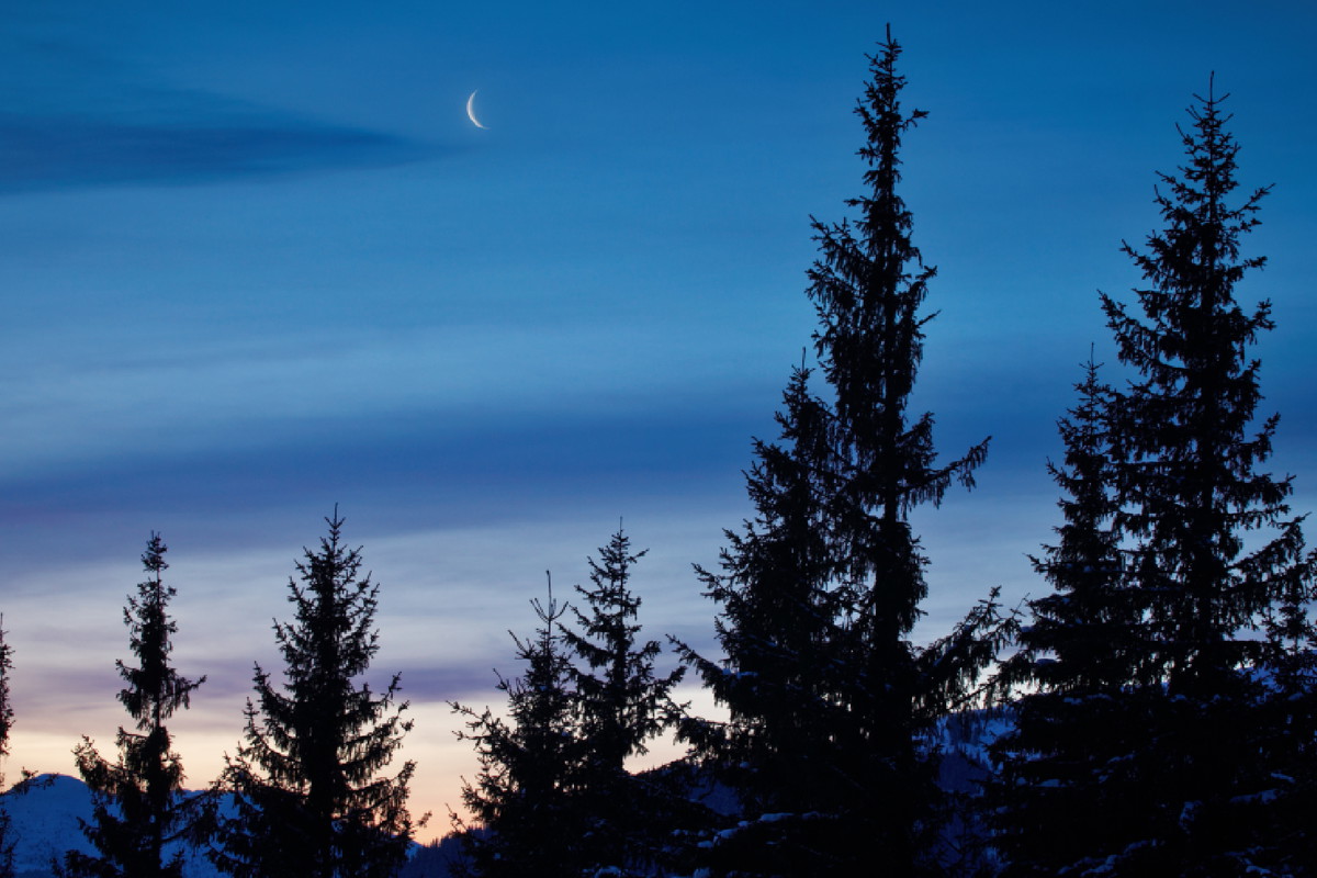 Horoskop na nów Księżyca w Rybach 20 lutego 2023