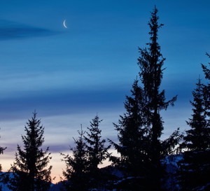 Horoskop na nów Księżyca w Rybach 20 lutego 2023