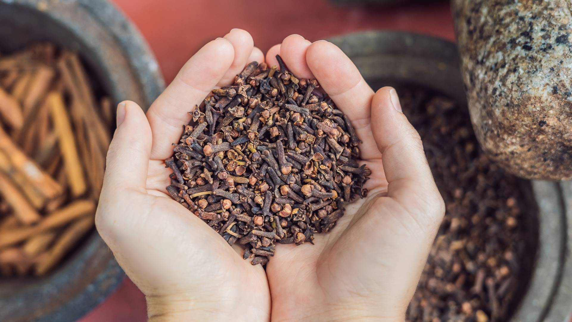Goździki działają na pieniądze jak magnes. Uwaga, działają tylko w tym 1 miejscu