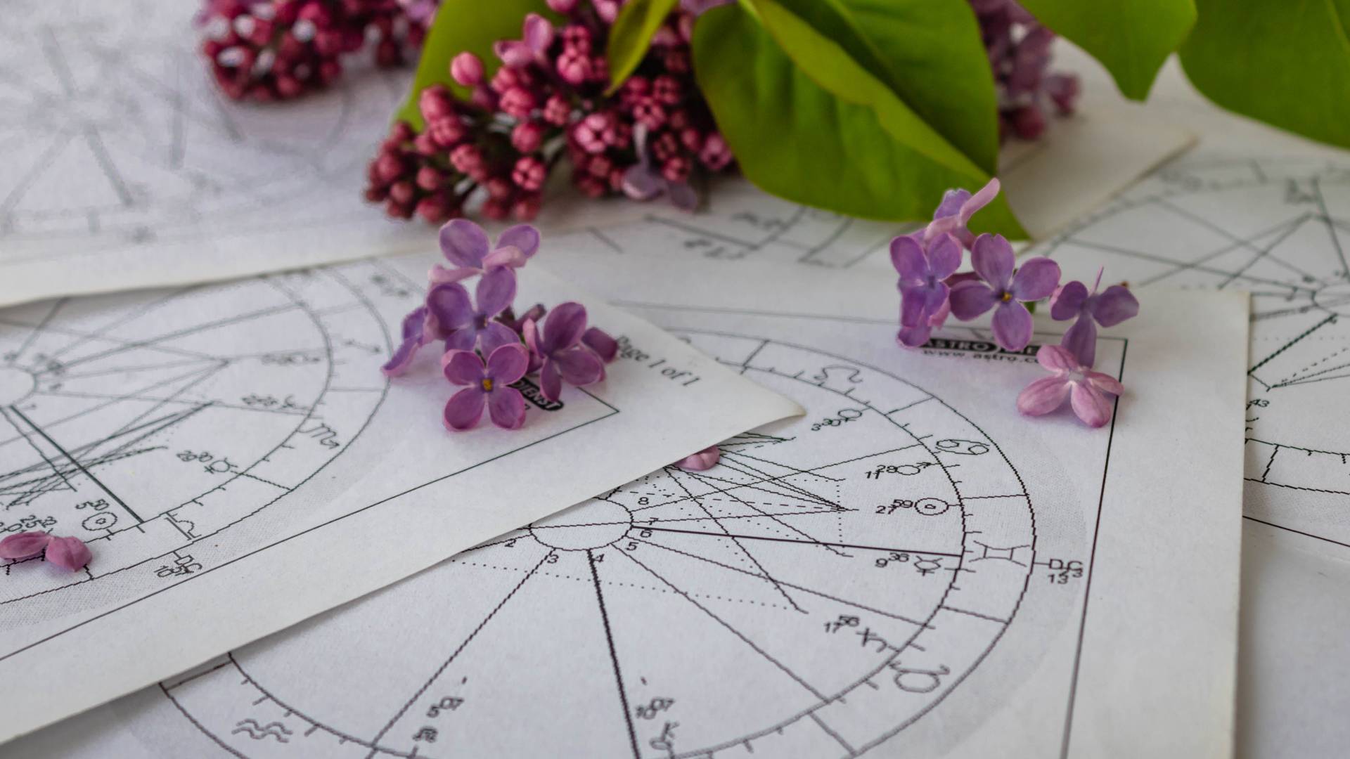 Wielki horoskop wiosenny 2023 dla wszystkich znaków zodiaku [Baran, Byk, Bliźnięta, Rak, Lew, Panna, Waga, Skorpion, Strzelec, Koziorożec, Wodnik, Ryby]