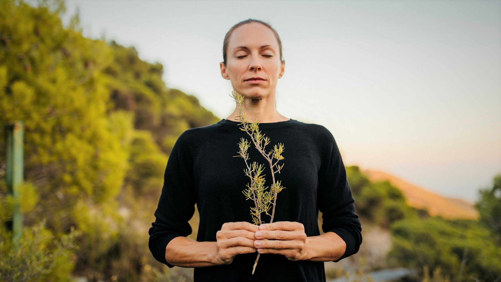 Ta 1 roślina wspomoże twoje szczęście w grach losowych
