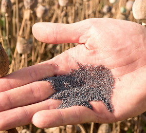 Babski horoskop na Dzień Kobiet 2023. To święto doda każdej z nas siły i energii