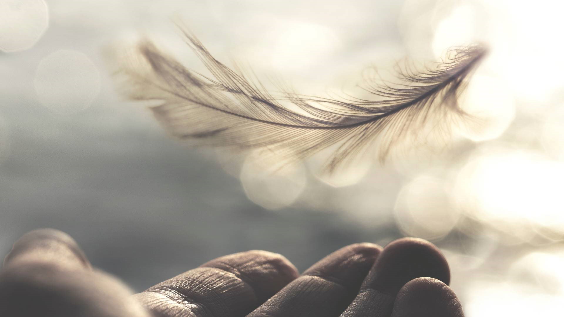 Znak od zmarłego to ważne przesłanie z zaświatów. Po tym poznasz, że bliska ci osoba jest tuż obok