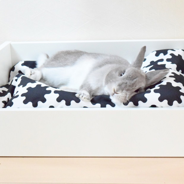 Kolekcja Lurvig IKEA dla zwierząt