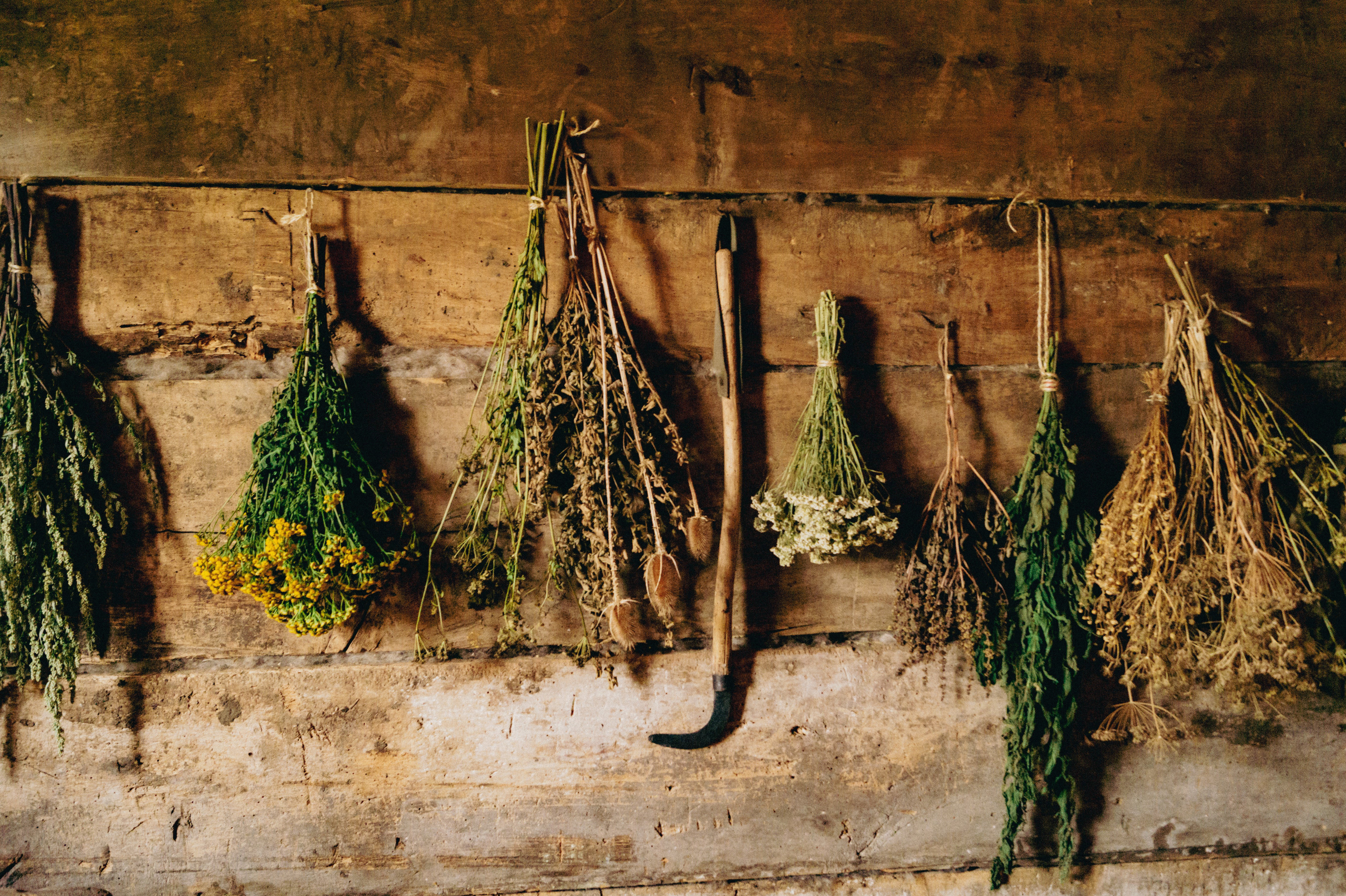 zioła do oczyszczania energetycznego