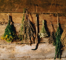 zioła do oczyszczania energetycznego