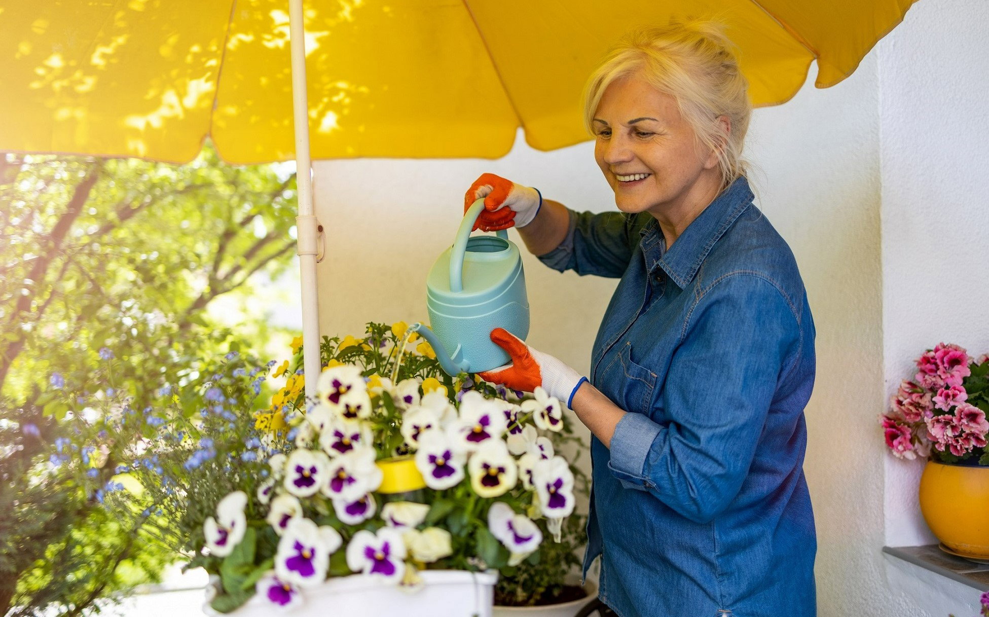 Masz ten kwiat na balkonie? To symbol zazdrości i plotek, lepiej się go pozbyć