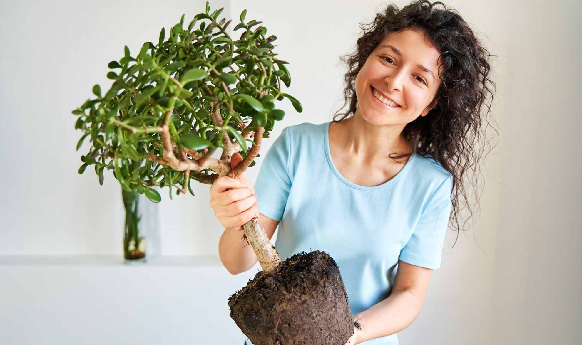 Ta roślina w domu przyciąga pieniądze. Jest 1 warunek, który spełnisz w 5 minut