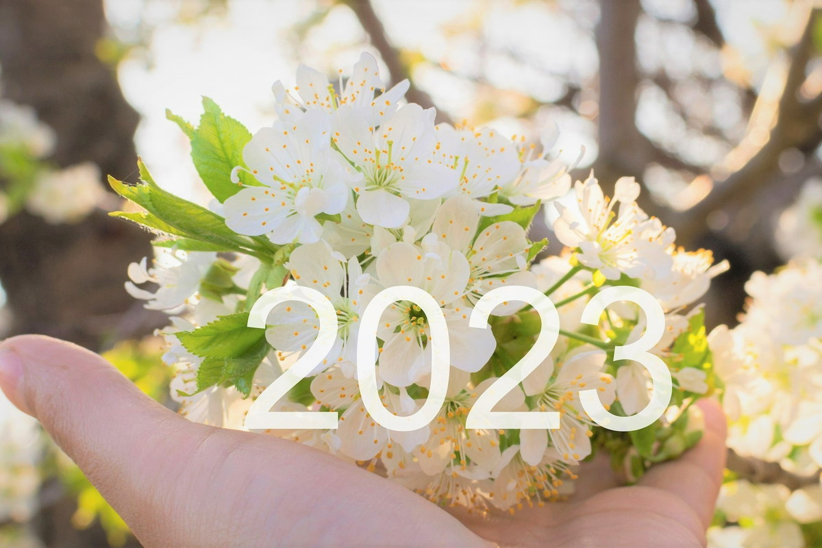 Numerologia na kwiecień 2023 roku. Nadchodzi miesiąc kontrastów i współpracy