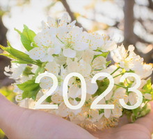 Numerologia na kwiecień 2023 roku. Nadchodzi miesiąc kontrastów i współpracy