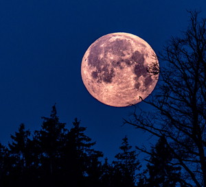 Horoskop na Pełnię Różowego Księżyca w kwietniu 2023
