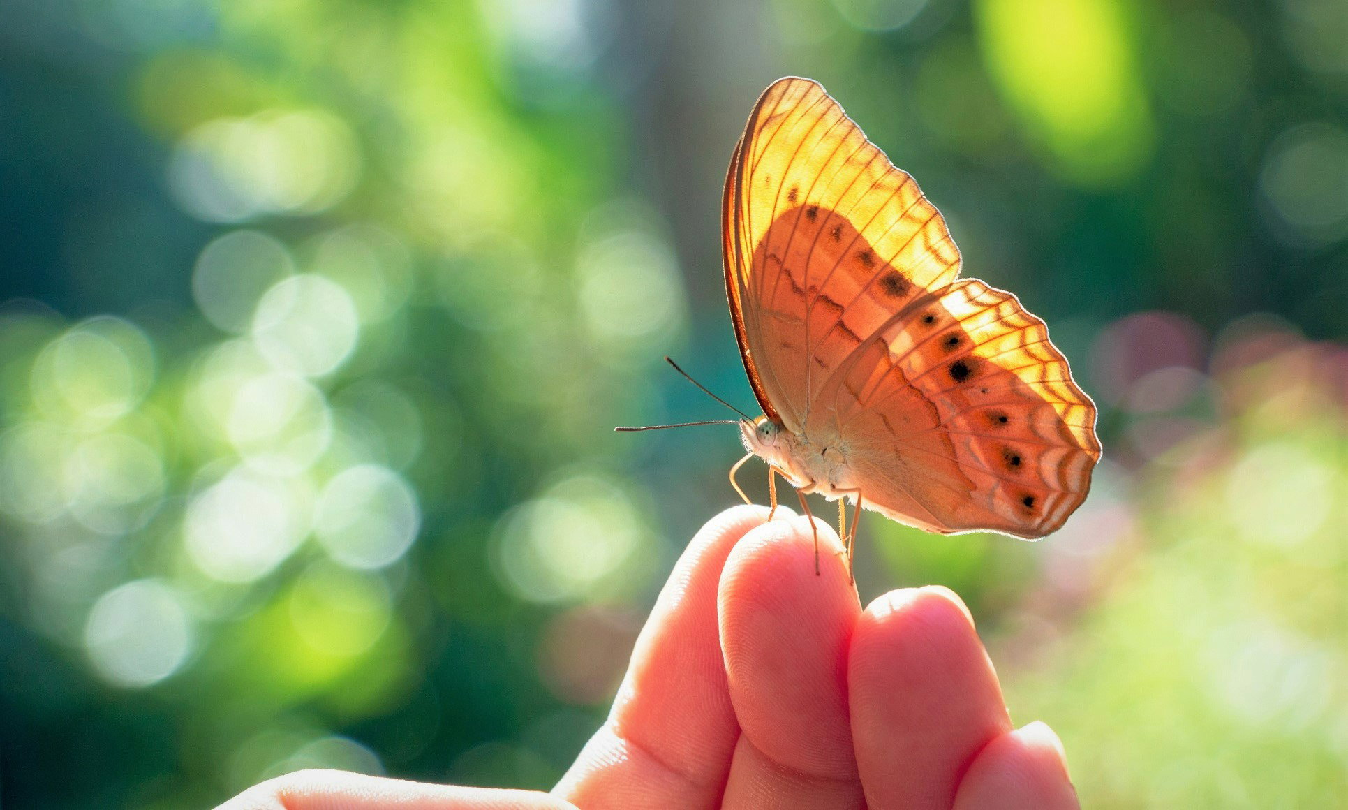 Ten wiosenny znak wskazuje, że otrzymasz ważną wiadomość. Uważaj tylko na 1 szczegół