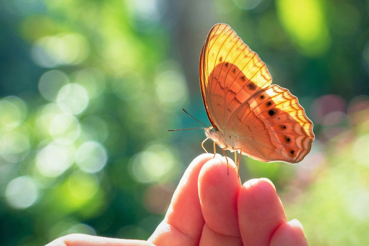 Ten wiosenny znak wskazuje, że otrzymasz ważną wiadomość. Uważaj tylko na 1 szczegół