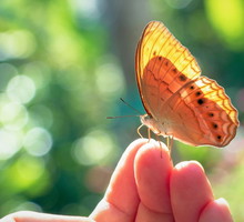 Ten wiosenny znak wskazuje, że otrzymasz ważną wiadomość. Uważaj tylko na 1 szczegół