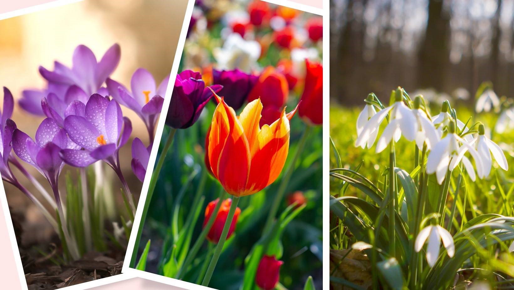 Odkryj skrywaną prawdę o sobie. Wystarczy, że wskażesz obrazek, który podpowiada ci intuicja AdobeStock