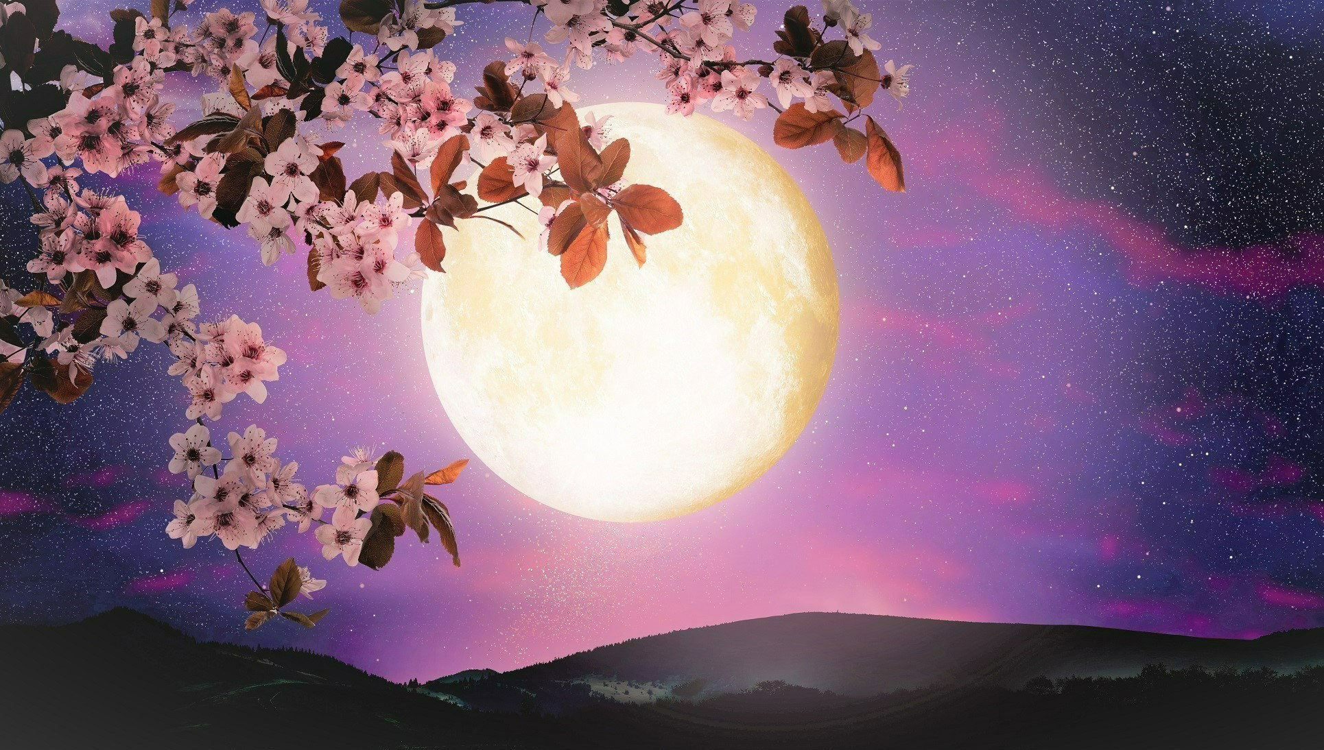 Zrób to w Pełnię Księżyca, a przyciągniesz obfitość do swojego życia. Jest tylko 1 haczyk